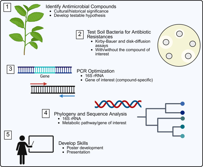 There and back again: navigating the return to in-person lab work post-pandemic for the Hybrid Microbial Ecology Course-based Undergraduate Research Experience (H-ME-CURE).