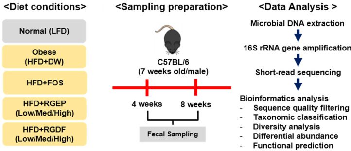 Modulation of Gut Microbiota by Red Ginseng Extract Powder and Dietary Fiber in Obese Mice: Identification of Key Microbial Candidates.