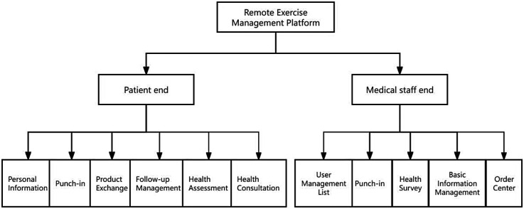 Need-based remote exercise management platform for colorectal cancer patients with intestinal stoma: design and pilot usability evaluation.
