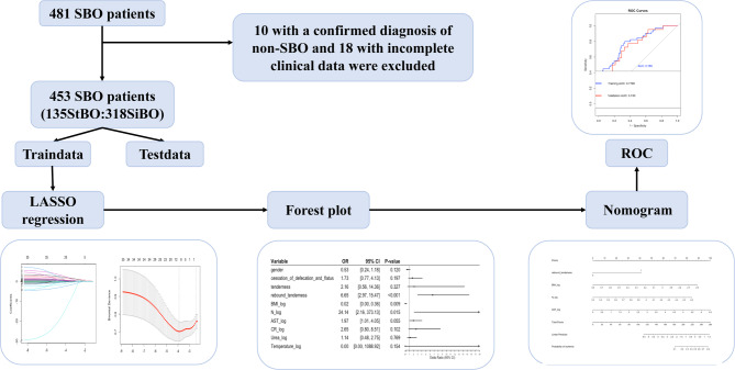 An easily acquirable predictive model for strangulated bowel obstruction: the BAR-N.
