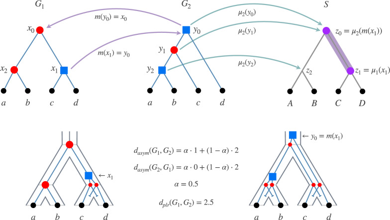 The path-label reconciliation (PLR) dissimilarity measure for gene trees.