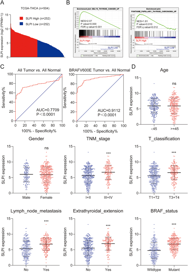 SLPI as a dedifferentiation biomarker in BRAFV600E-mutant papillary thyroid cancer.