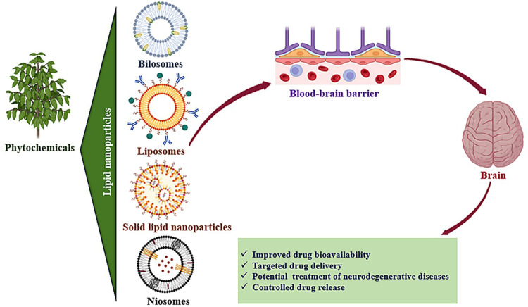 Recent Advancements in Lipid Nanoparticles-Based Phytoactives Delivery Systems for Neurodegenerative Diseases.