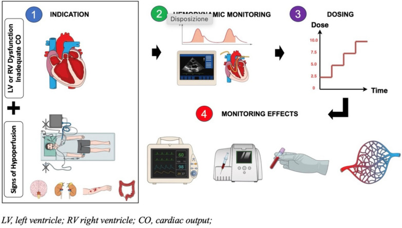 Dobutamine administration: a proposal for a standardized approach.