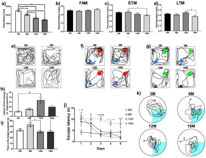 Dendritic spine degeneration is associated with age-related decline in recognition and spatial memory in male mice.