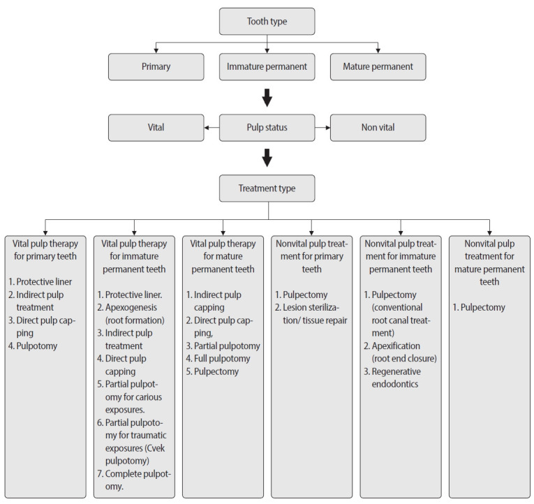 Comparison of YouTube, TikTok, and Instagram as digital sources for obtaining information about pulp therapy in primary and permanent teeth.
