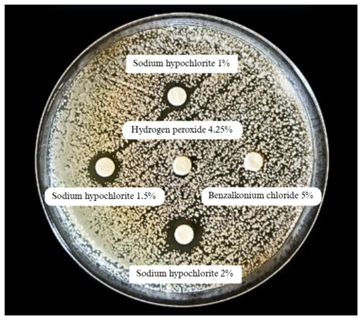 Biocide Tolerance, Biofilm Formation, and Efflux Pump Activity in Clinical Isolates of <i>Trichosporon asahii</i>.