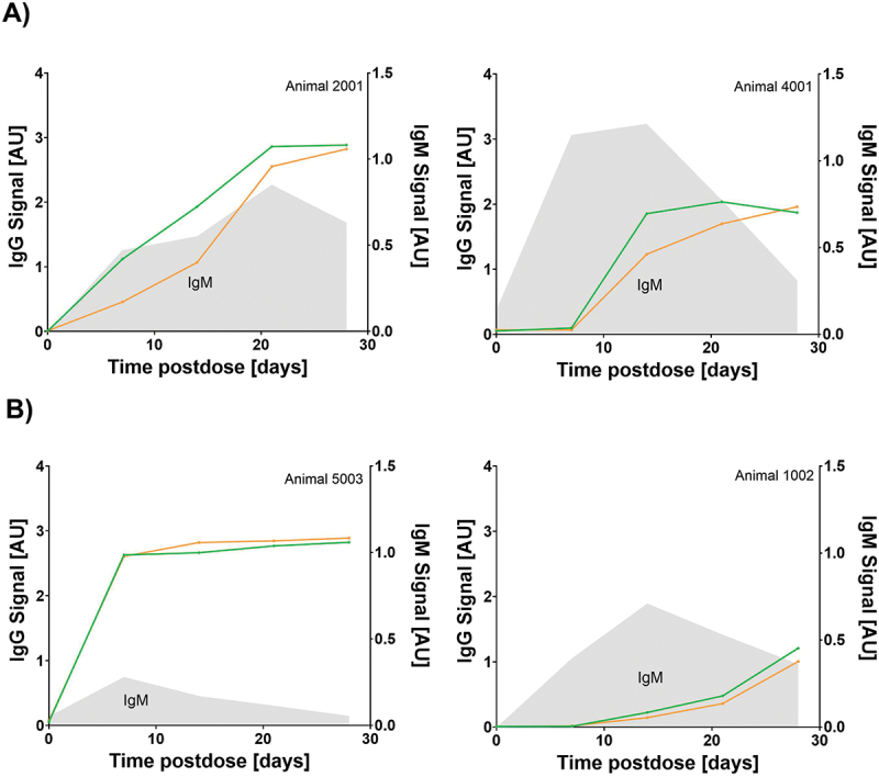Selective IgM digestion improves anti-AAV IgG detection in the immune complex assay format.