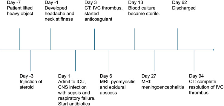 Inferior Vena Cava Septic Thrombophlebitis: A Severe Complication of Paraspinal Steroid Injection Leading to Methicillin-Resistant <i>Staphylococcus aureus</i> Dissemination.