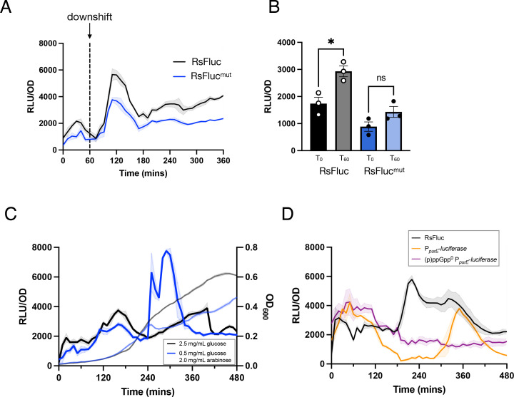 Analysis of (p)ppGpp metabolism and signaling using a dynamic luminescent reporter.