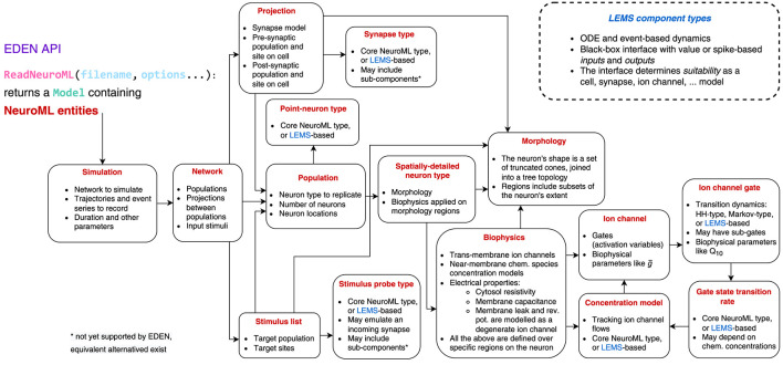 Decoupling model descriptions from execution: a modular paradigm for extensible neurosimulation with EDEN.