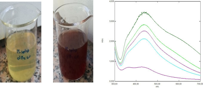 Optimization of biogenic silver particle synthesis for methylene blue degradation.