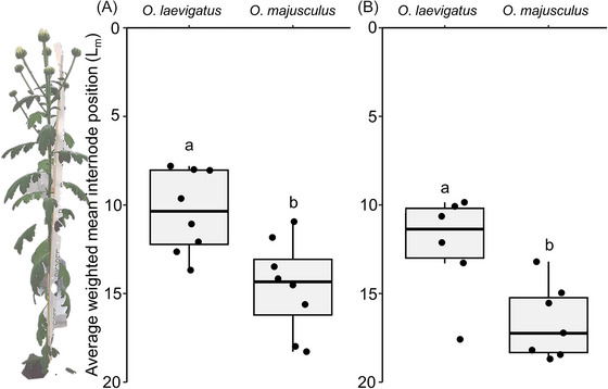 Differences in within-plant oviposition preferences and immature survival between Orius predators and the importance of spatial availability of prey.