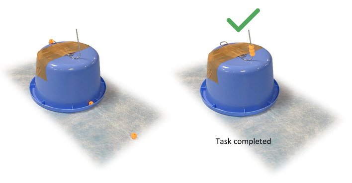 Does the visual system affect the learning curve of the Otosurgeon? A cadaveric study comparing microscopy vs exoscopy.