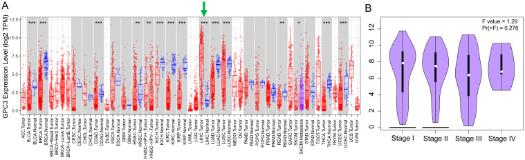 Targeting Glypican-3 for Liver Cancer Therapy: Clinical Applications and Detection Methods.