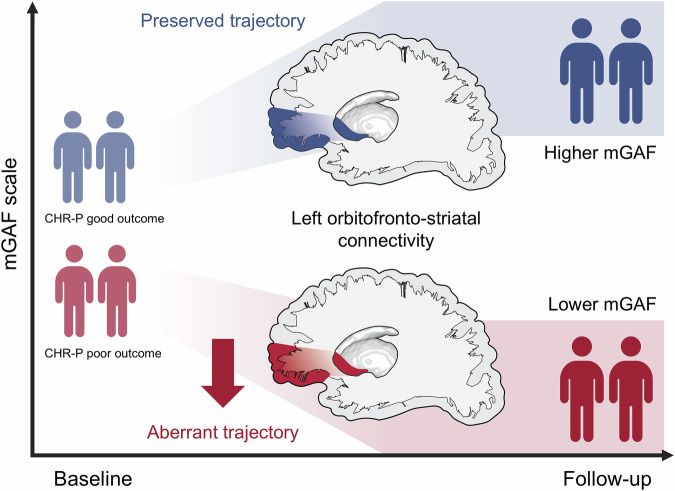 Differential trajectories of corticostriatal structural connectivity in individuals at clinical high risk for psychosis according to functional outcome.