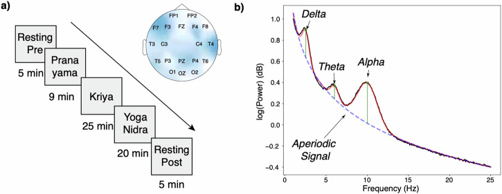 Unlocking deep relaxation: the power of rhythmic breathing on brain rhythms.