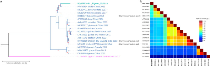 Author Correction: Coronaviruses in diarrheic pigeons and the first determination of the complete genome of a new pigeon gammacoronavirus.