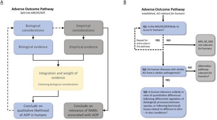 Refinement of a workflow for human relevance assessment of adverse outcome pathways and associated new approach methodologies.