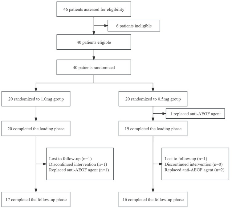 Intravitreal Double-Dose Conbercept Injection for the Treatment of Neovascular Age-Related Macular Degeneration: A Pilot Real-Life Clinical Practice Study.