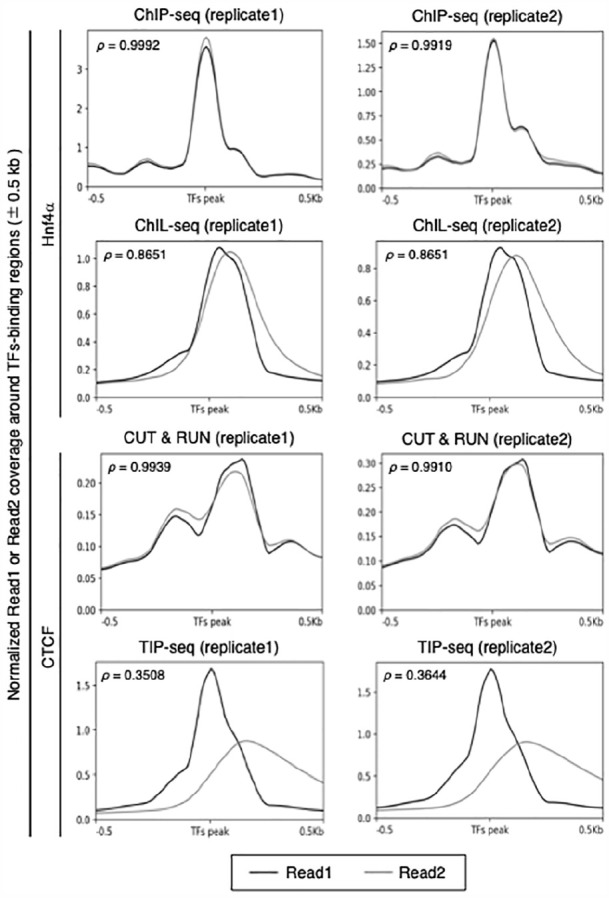 <i>In Silico</i> Separation of <i>in Vitro</i> Transcription-Derived Duplicates From PCR Duplicates to Enhance Sequence Data Utilization.
