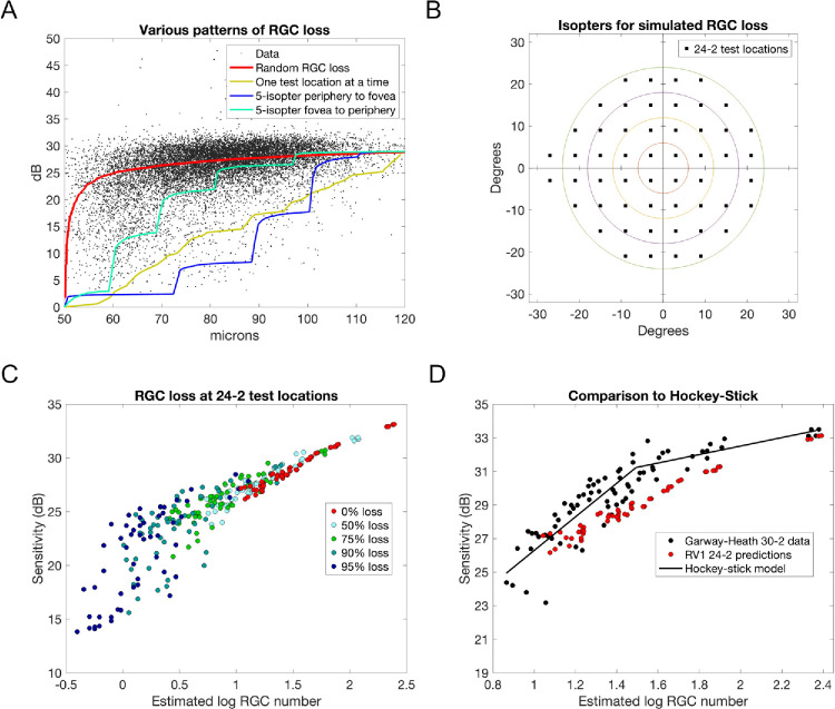 Predicting the Structure-Function Relationship in Glaucoma Using a Physiological Model.