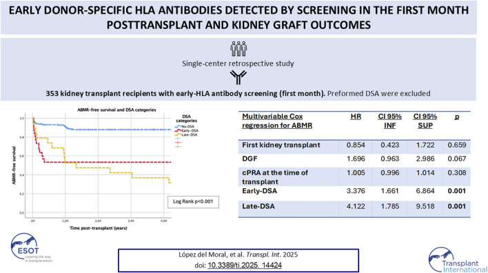 Early Donor-Specific HLA Antibodies Detected by Screening in the First Month Posttransplant and Kidney Graft Outcomes.