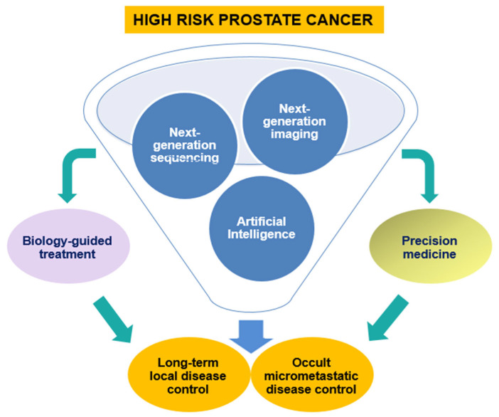 The Evolving Landscape of Novel and Old Biomarkers in Localized High-Risk Prostate Cancer: State of the Art, Clinical Utility, and Limitations Toward Precision Oncology.