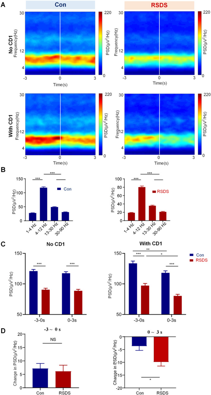 Altered theta oscillations in basolateral amygdala and ventral hippocampus related to social defeat.