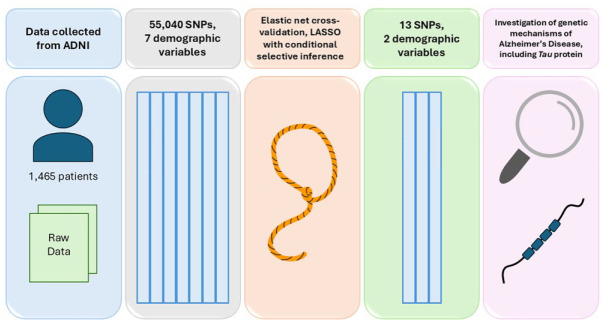 Newly Identified Genetic Associations of Alzheimer Disease by Conditional Selective Inference: Potential Implications for the Tau Hypothesis.