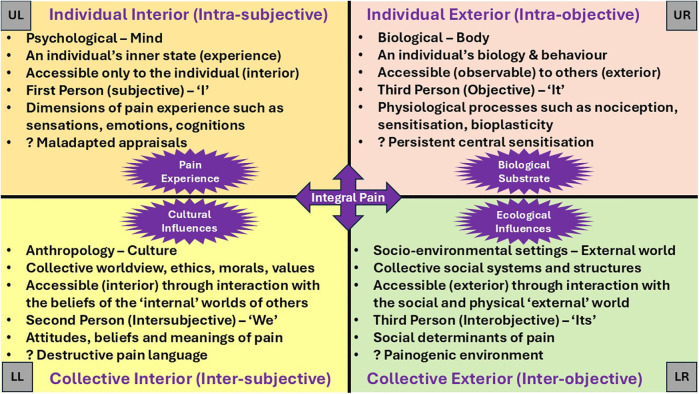 An integral vision of pain and its persistence: a whole-person, whole-system, salutogenic perspective.