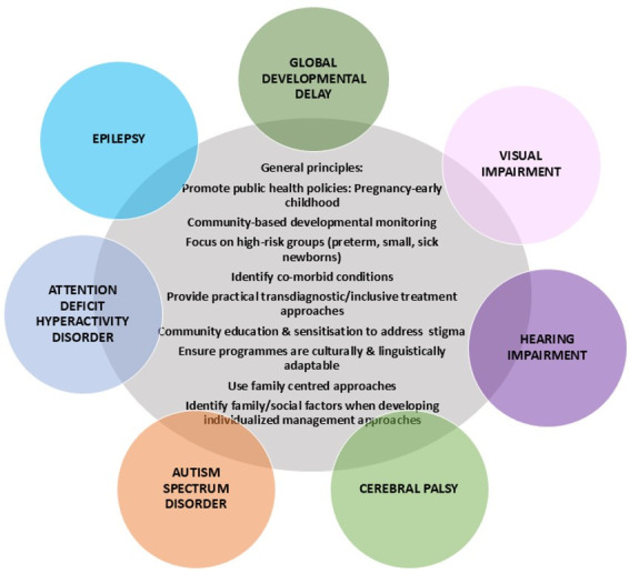 Scoping review of evidence-based practice guidelines for the evaluation and care of young children with developmental disabilities in LMIC settings: evidence for action.