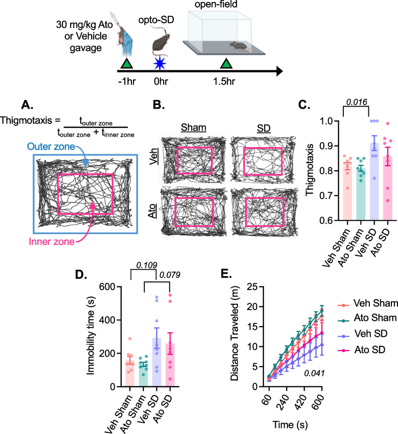 Oral atogepant mitigates spreading depolarization-induced pain and anxiety behavior in mice.