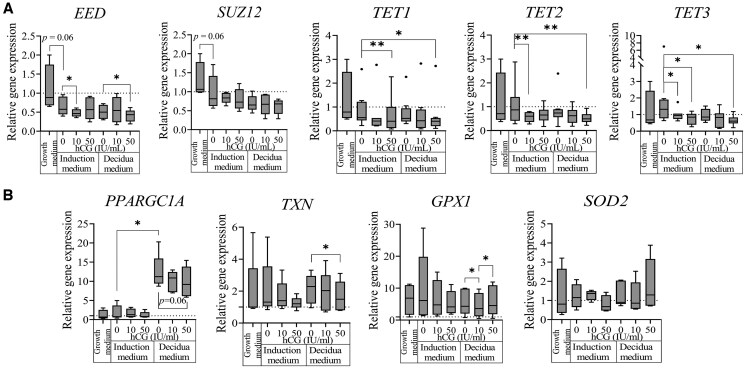 Evaluating endometrial response to human chorionic gonadotropin: alterations in epigenetic regulation and extracellular vesicle cargo of endometrial stromal cells.