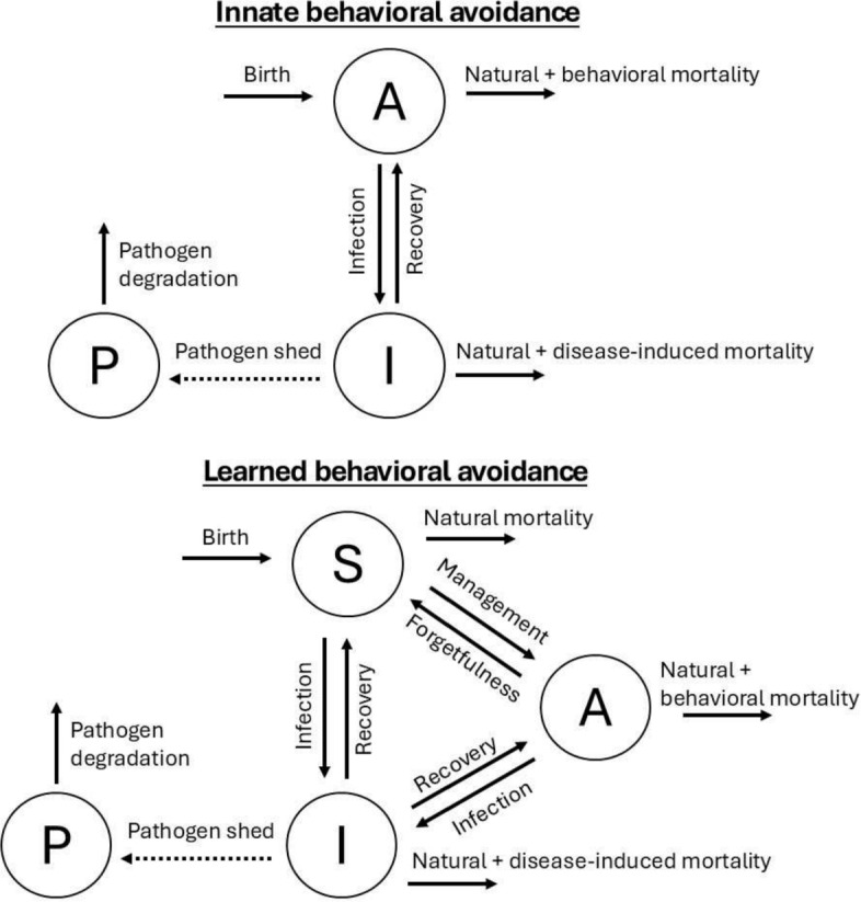 Learned behavioral avoidance can alter outbreak dynamics in a model for waterborne infectious diseases.