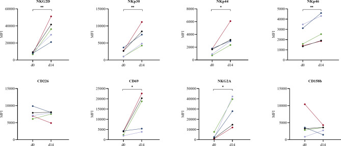 A novel feeder cell based on 4-1BBL and membrane-bound IL-21/IL-15 induce highly expansion and anti-tumor effect of natural killer cells.