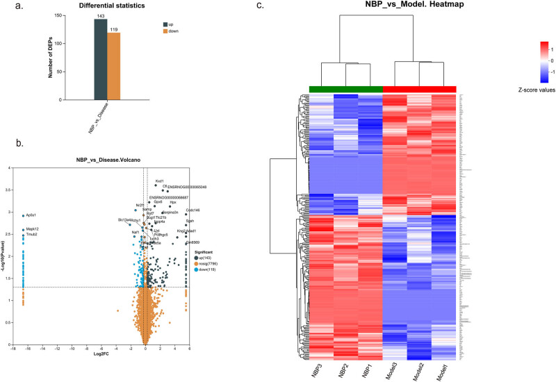 DIA-based proteomics reveals anti-inflammatory role of DL-3-<i>n</i>-butylphthalide in cerebral small vessel disease-induced brain injury in hypertensive rat.