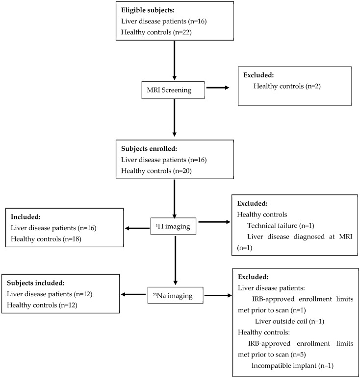 Feasibility of Sodium and Amide Proton Transfer-Weighted Magnetic Resonance Imaging Methods in Mild Steatotic Liver Disease.