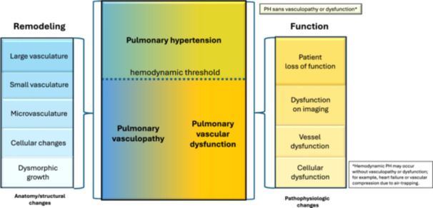 Significance of Pulmonary Vascular Dysfunction in Chronic Obstructive Pulmonary Disease.