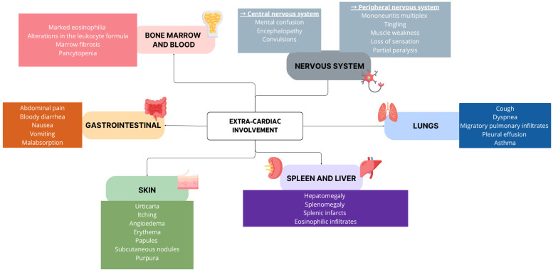 Multimodality Imaging in Eosinophilic Myocarditis: A Rare Cause of Heart Failure.