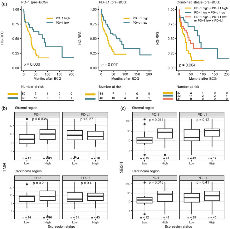 Expression of PD-1 and PD-L1 in BCG-treated NMIBC.