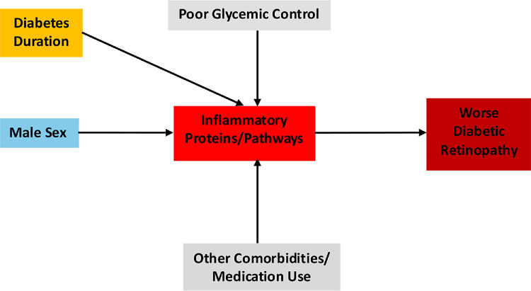 Sex Differences in Inflammatory Plasma Proteins in Patients With Diabetic Retinopathy.