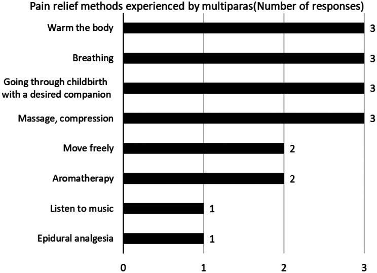 Development and evaluation of an Instagram version (prototype) of decision-making aid for women on the methods of pharmacological and non-pharmacological pain relief during childbirth.