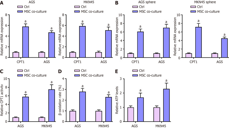 Mesenchymal stem cell-derived lncRNAs NKILA contributes to stemness and chemoresistance by fatty acid oxidation in gastric cancer <i>via</i> miR-485-5p/STAT3.
