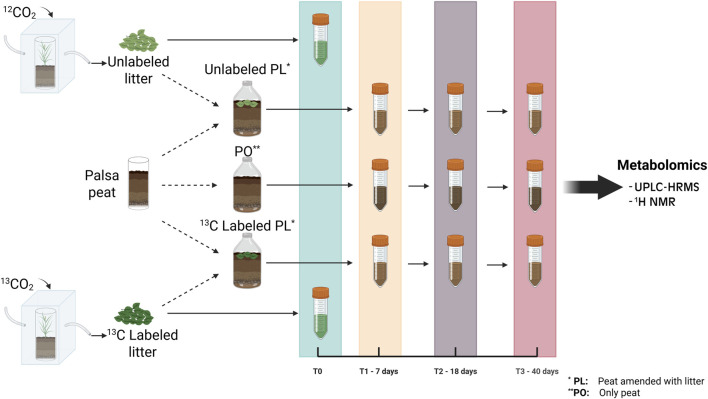 Tracing priming effects in palsa peat carbon dynamics using a stable isotope-assisted metabolomics approach.