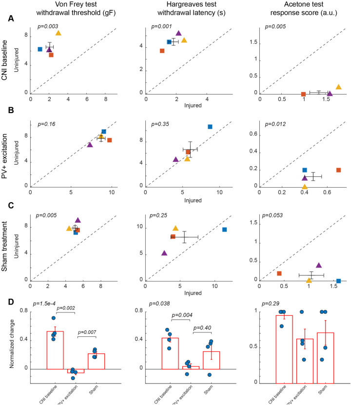 Bidirectional modulation of somatostatin-expressing interneurons in the basolateral amygdala reduces neuropathic pain perception in mice.
