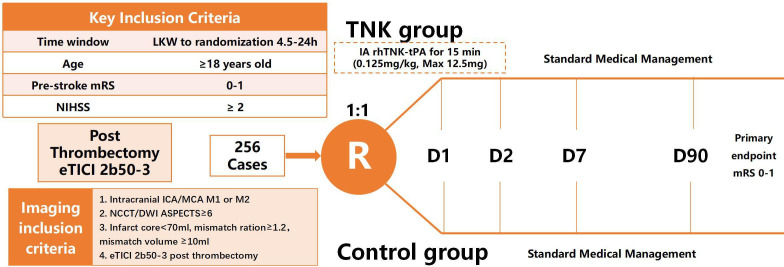 Intra-arterial tenecteplase after successful endovascular therapy (ANGEL-TNK): protocol of a multicentre, open-label, blinded end-point, prospective, randomised trial.
