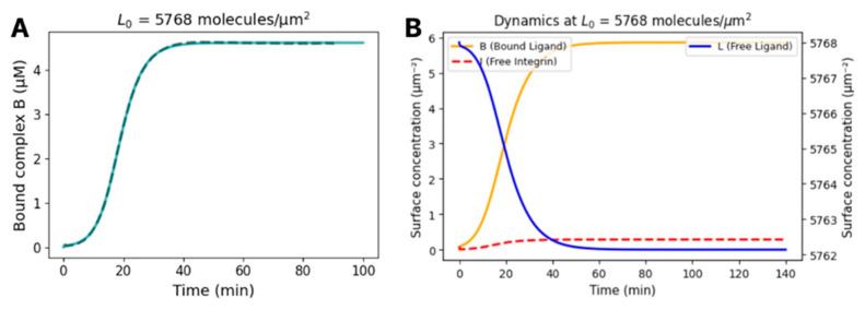 Kinetic Analysis of SARS-CoV-2 S1-Integrin Binding Using Live-Cell, Label-Free Optical Biosensing.