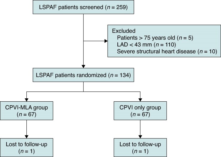 Circumferential pulmonary vein isolation with adjunctive linear ablation vs. circumferential pulmonary vein isolation alone for long-standing persistent atrial fibrillation: a randomized pilot study.