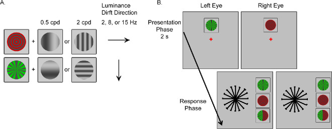 Magnocellular-biased interocular integration during onset rivalry in normal vision and binocular imbalance.